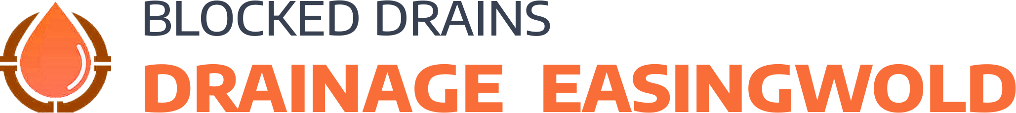 website logo